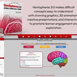 Apex hemispheres 3.0 level 3 answers