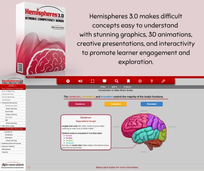 Apex hemispheres 3.0 level 3 answers