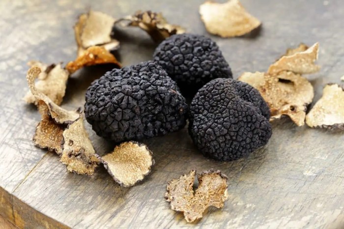 Do truffles grow in michigan