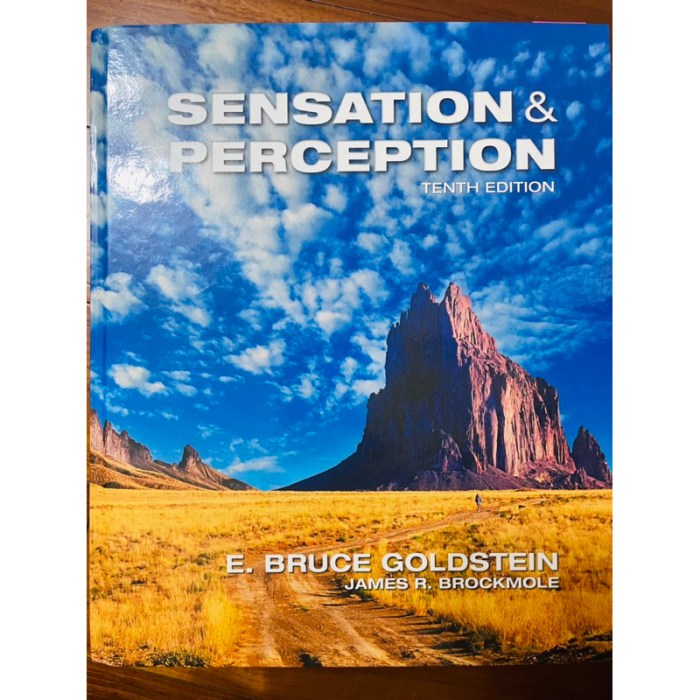 Sensation and perception 10th edition