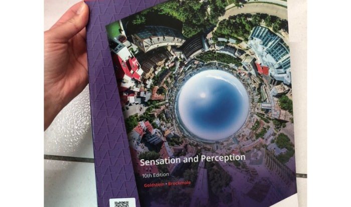 Perception sensation textbook