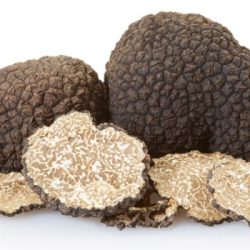 Truffles truffel sessie psilocybine mushrooms truffels differences verschillen medicijn terugkeer fysieke zamnesia paddo ceremonie