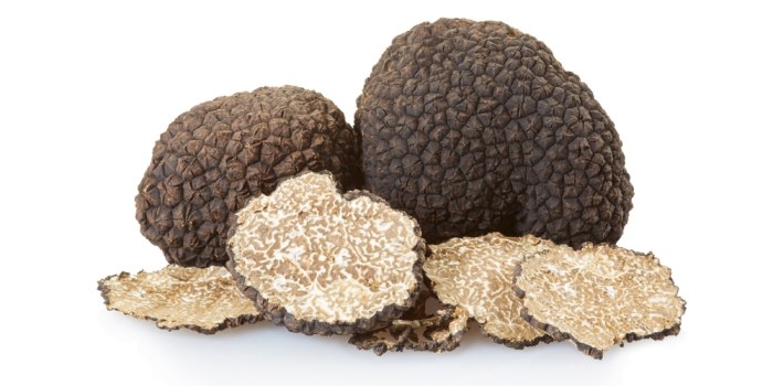 Truffles truffel sessie psilocybine mushrooms truffels differences verschillen medicijn terugkeer fysieke zamnesia paddo ceremonie