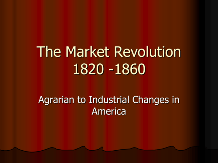 From 1820 to 1860 the american economy witnessed a