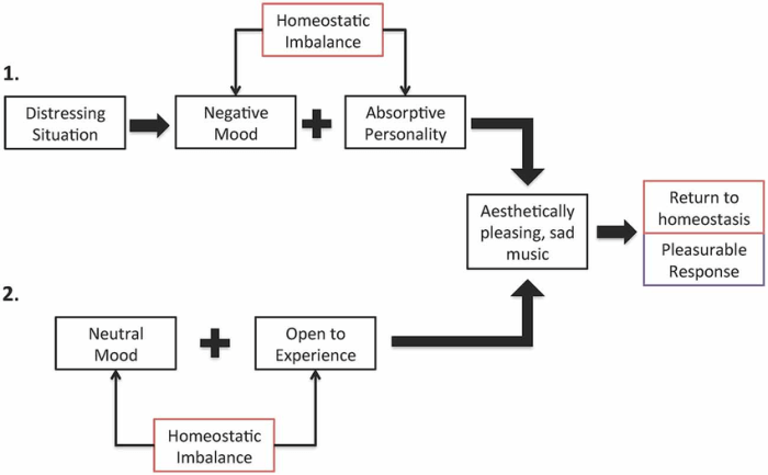 Homeostatic imbalance stress worksheet answers