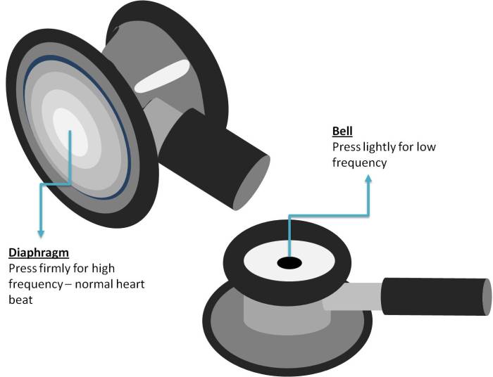 Stethoscope with bell and diaphragm